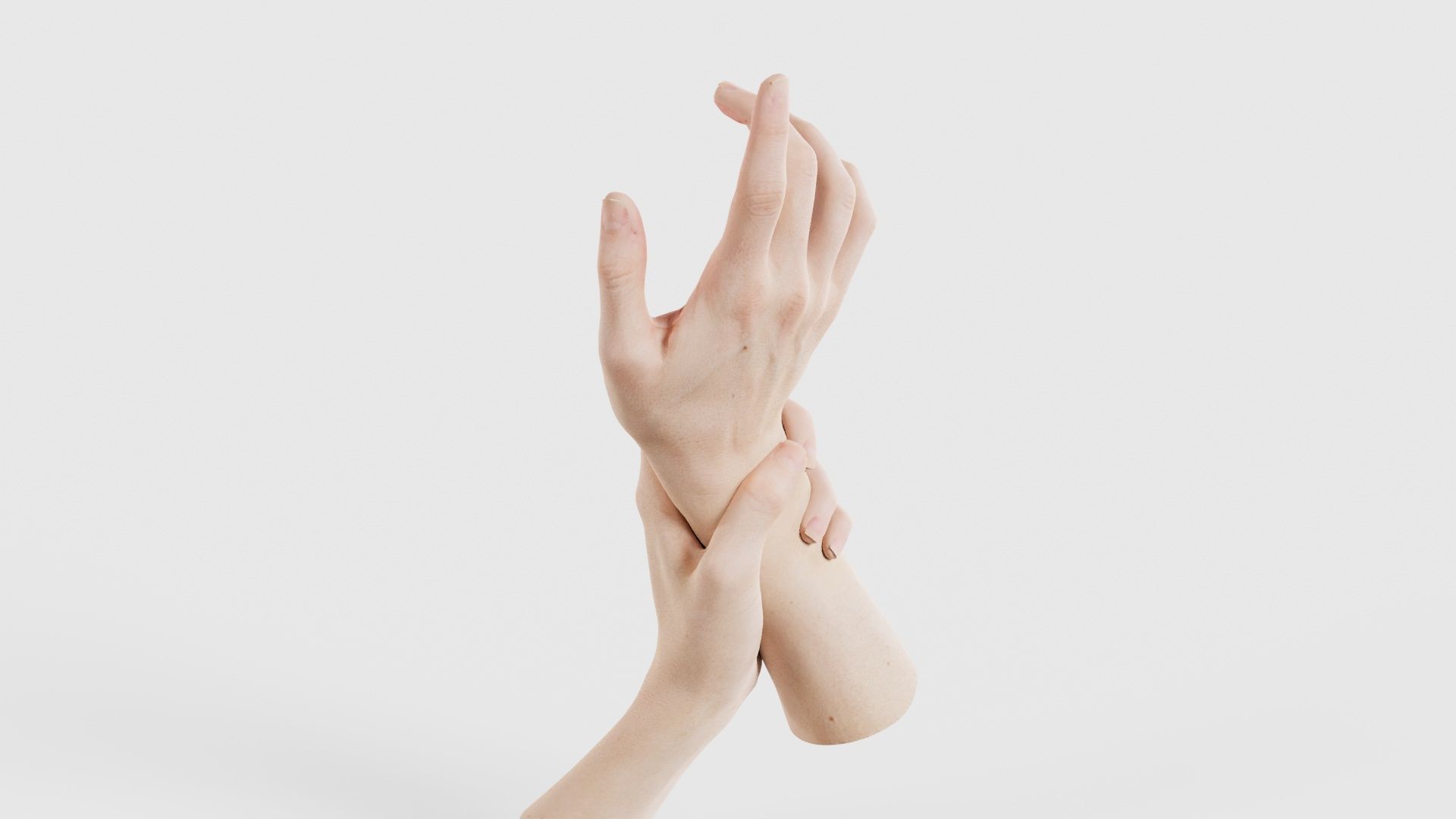 Duo Hands 010 Low-poly 3D model_22