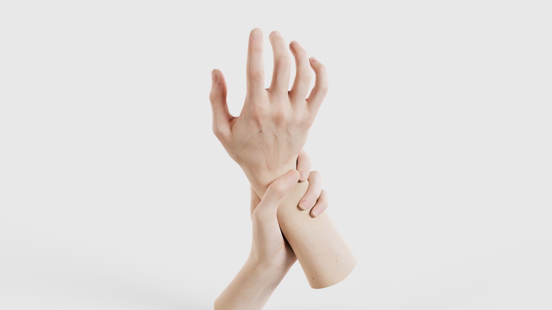 Duo Hands 010 Low-poly 3D model_21