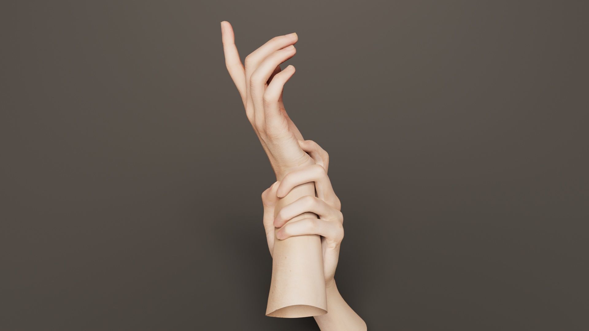 Duo Hands 010 Low-poly 3D model_2