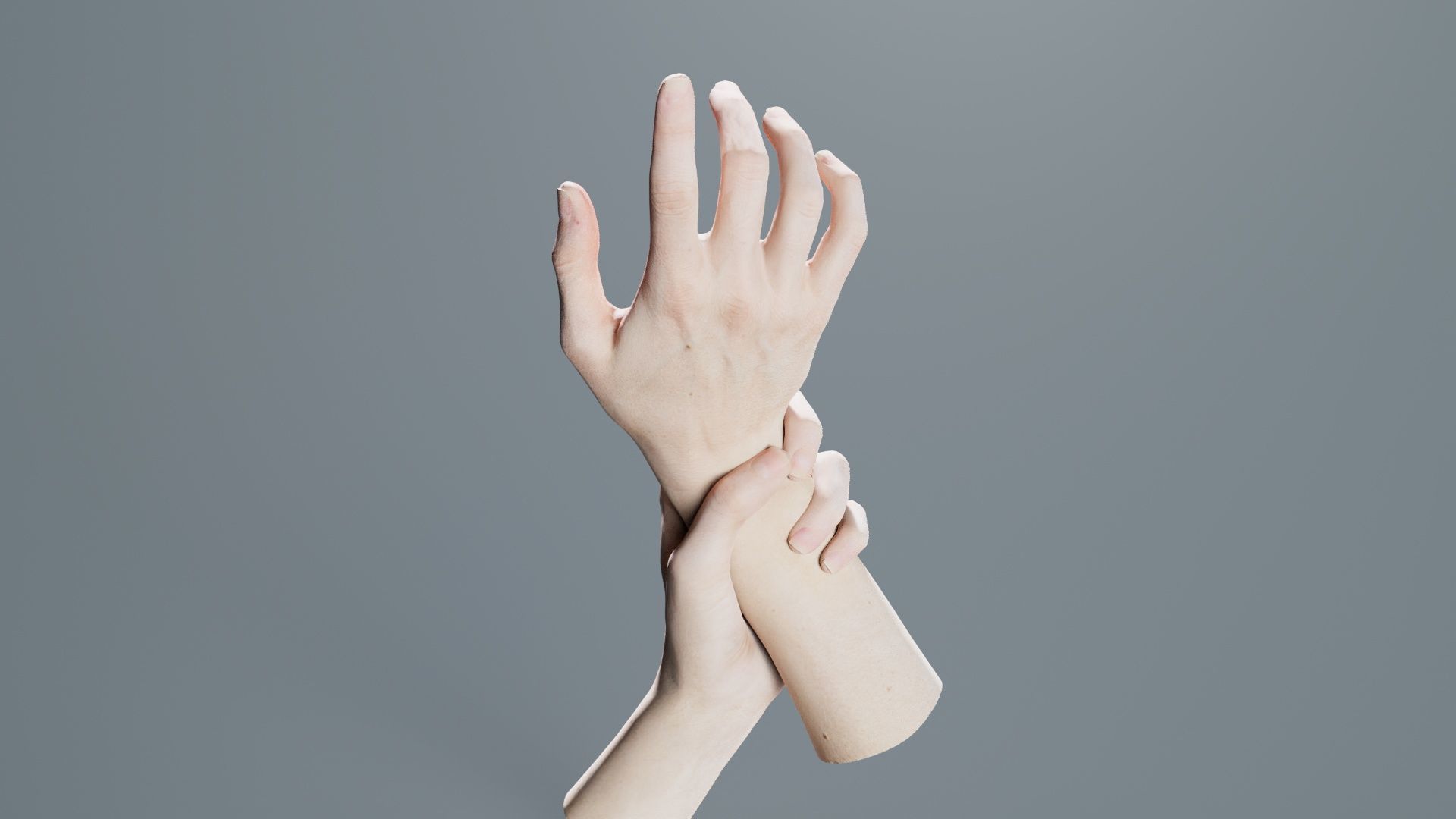 Duo Hands 010 Low-poly 3D model_7