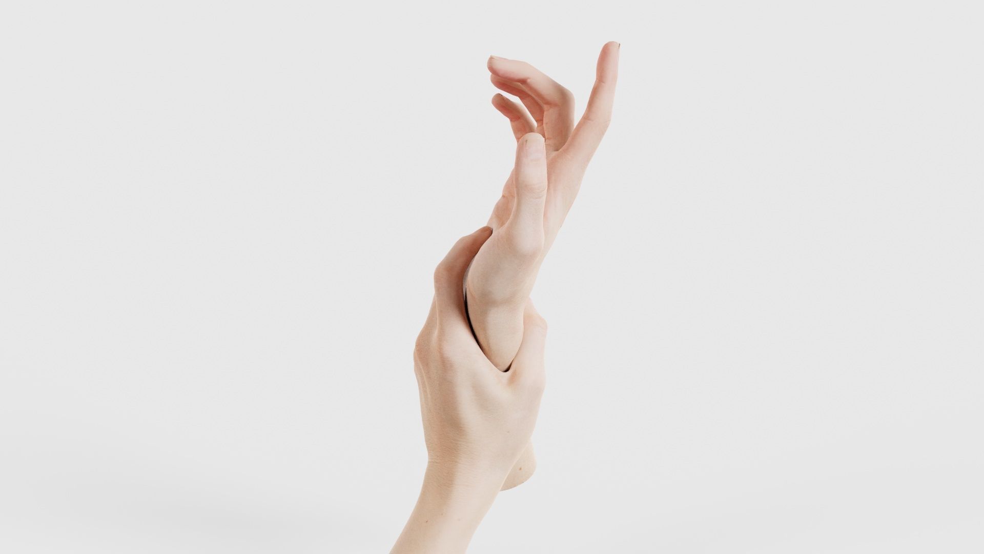 Duo Hands 010 Low-poly 3D model_24