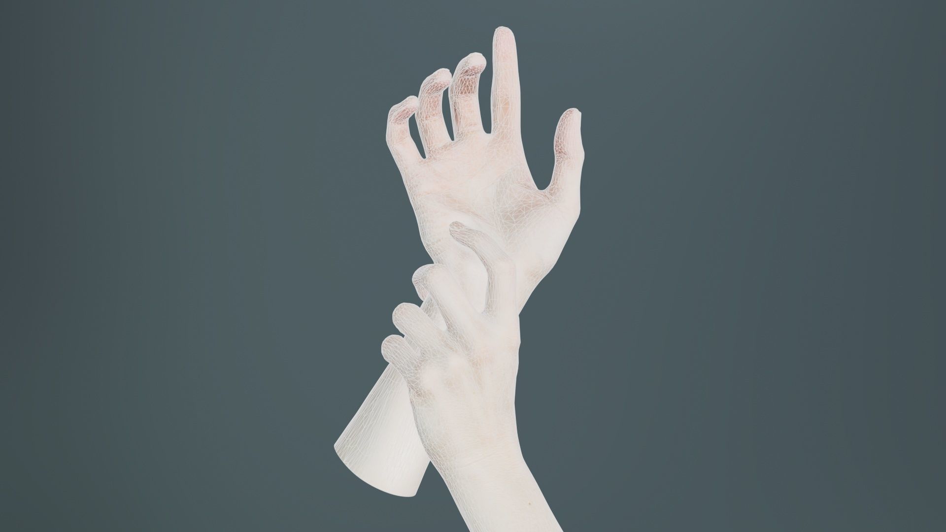 Duo Hands 010 Low-poly 3D model_9