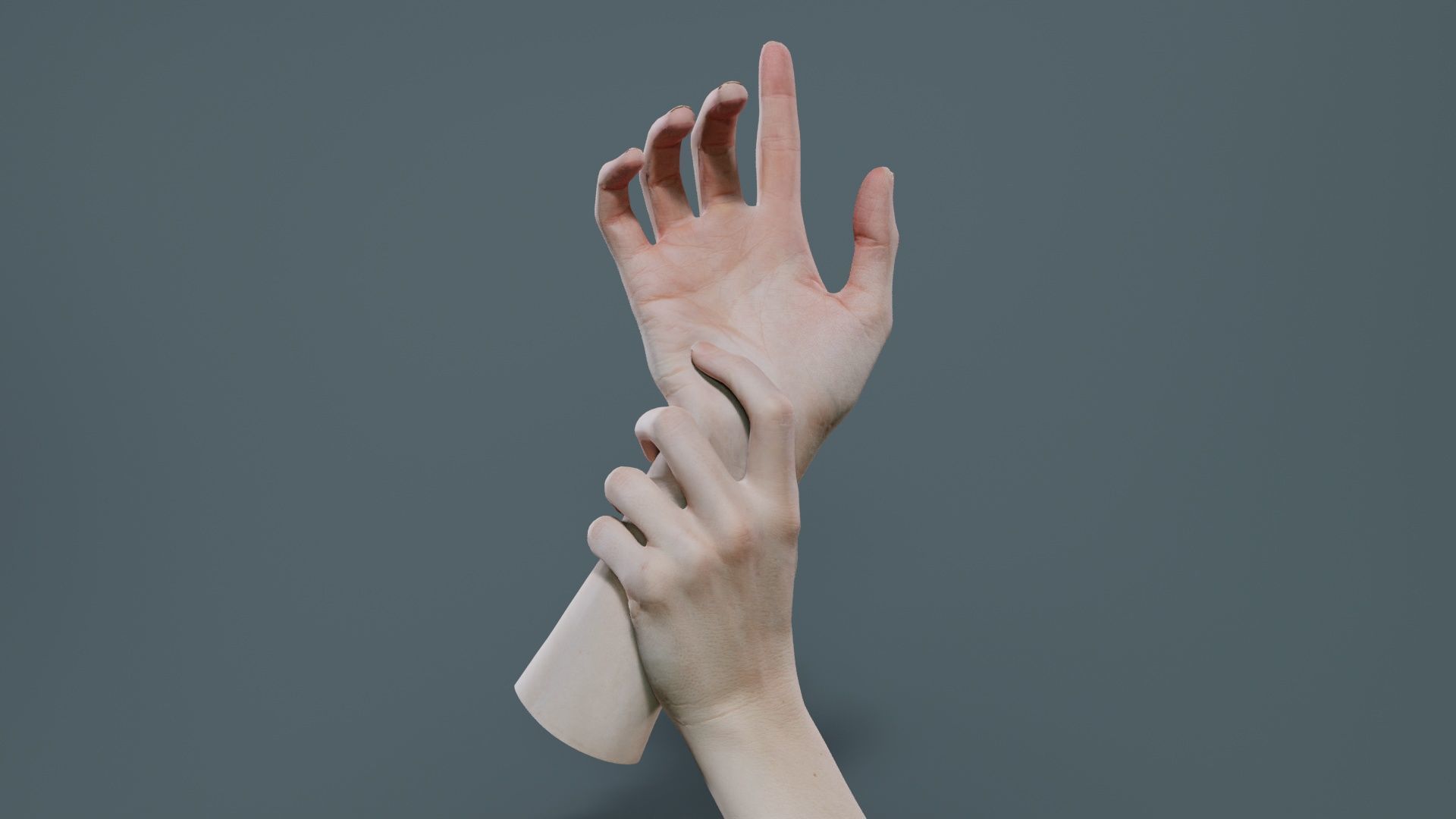 Duo Hands 010 Low-poly 3D model_4