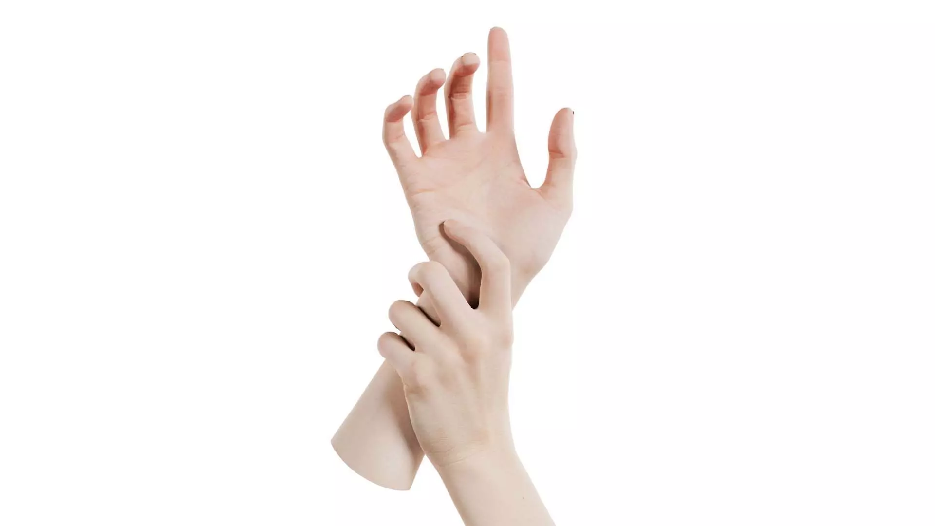 Duo Hands 010 Low-poly 3D model_0