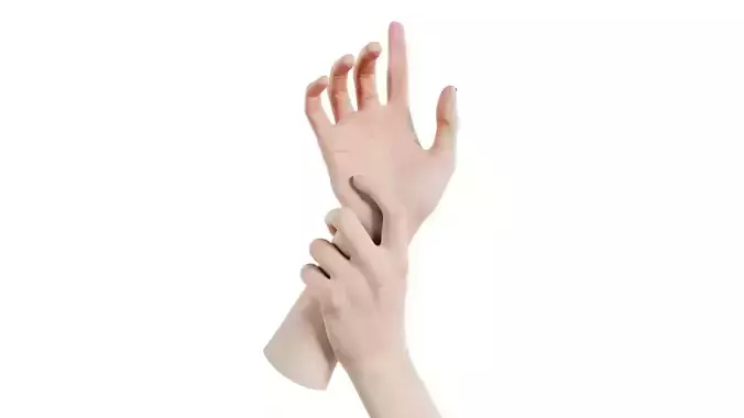 Duo Hands 010 Low-poly 3D model