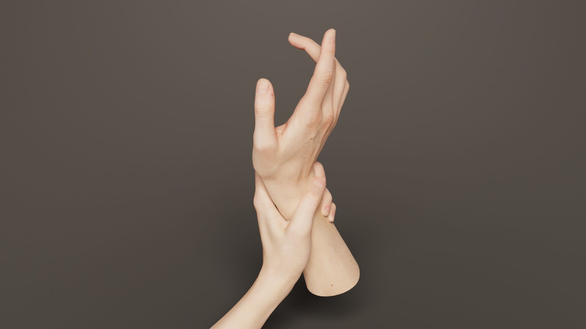 Duo Hands 010 Low-poly 3D model_5