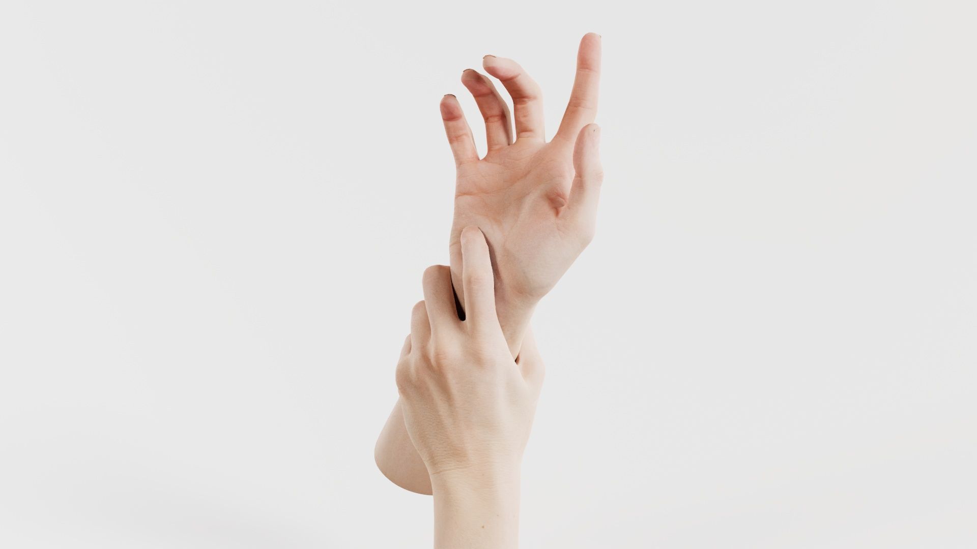 Duo Hands 010 Low-poly 3D model_3