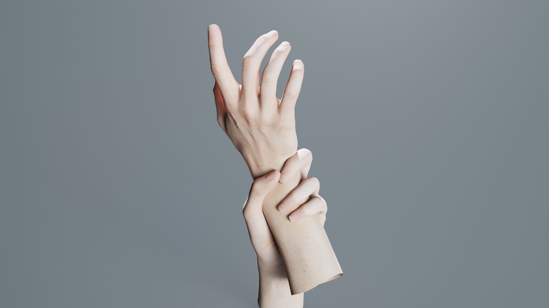 Duo Hands 010 Low-poly 3D model_6