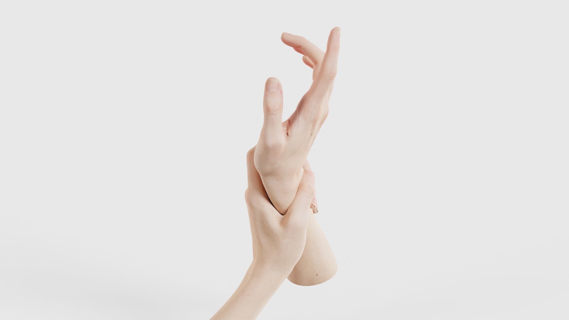 Duo Hands 010 Low-poly 3D model_23