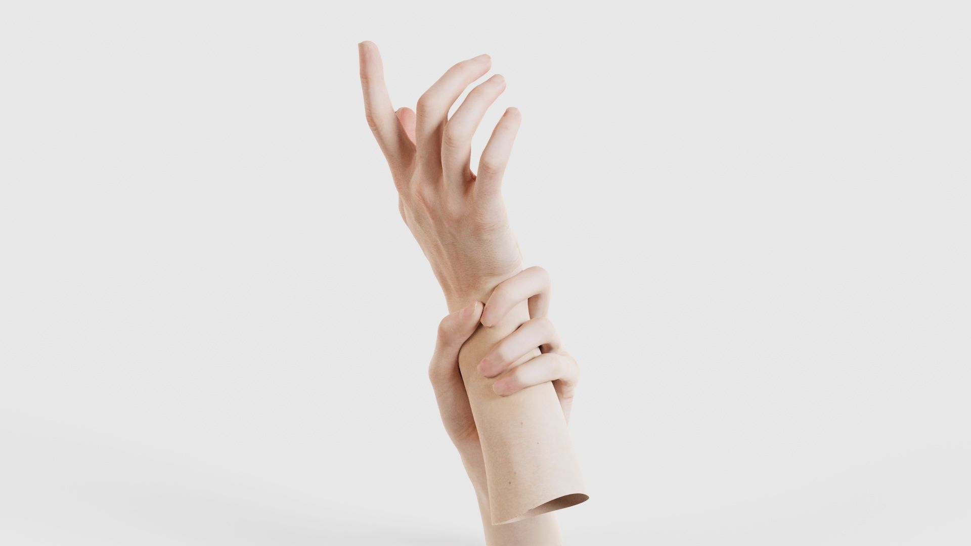 Duo Hands 010 Low-poly 3D model_19