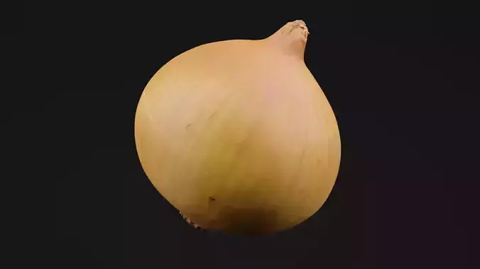 Onion 