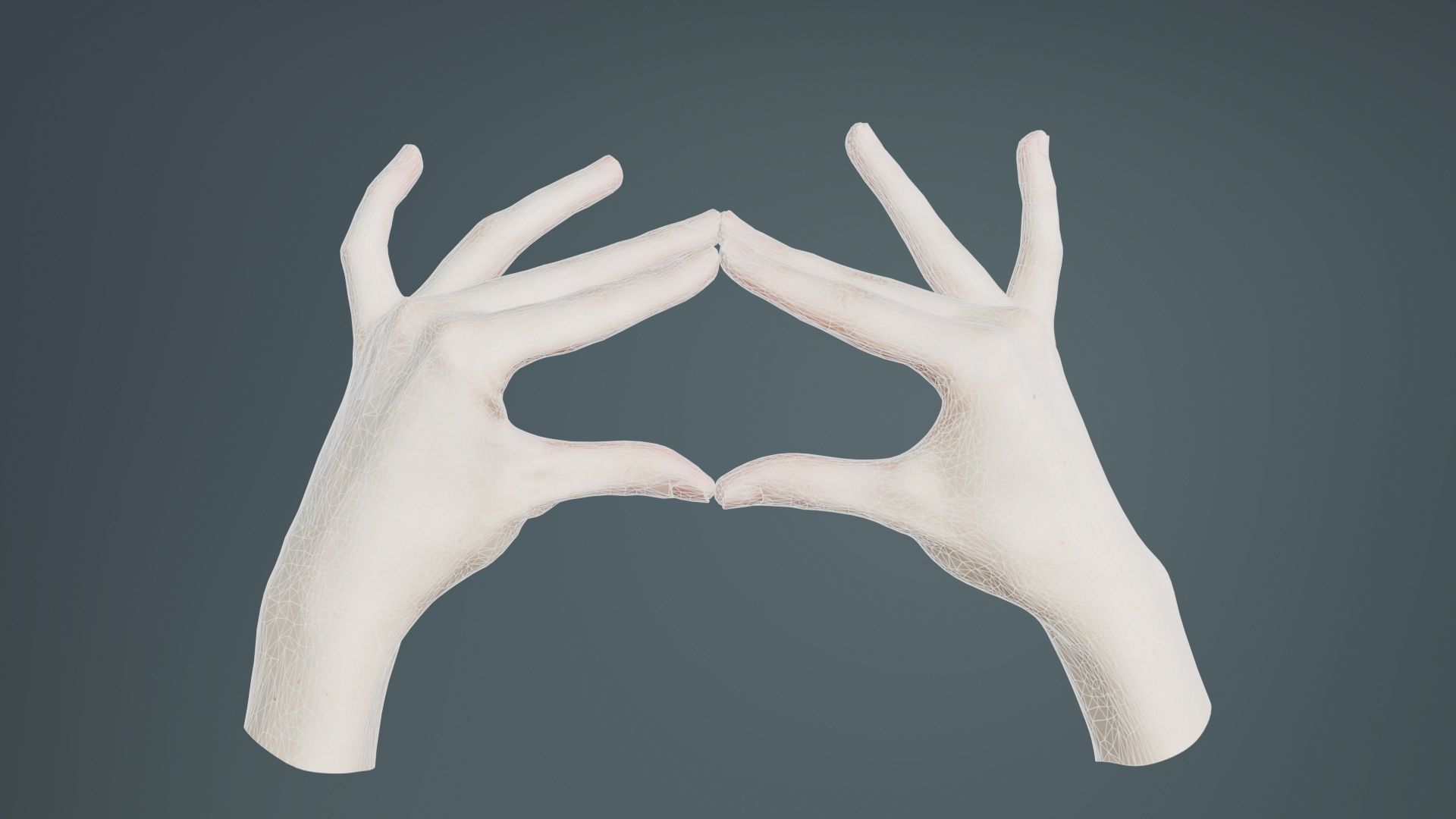 Duo Hands 012 Low-poly 3D model_9