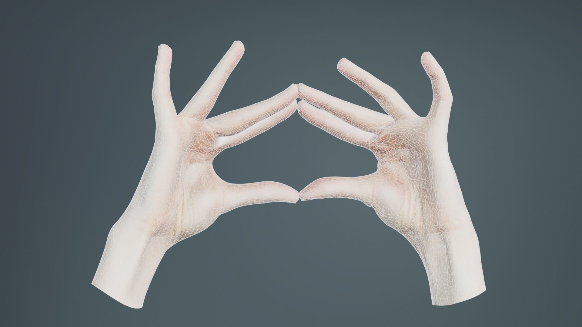 Duo Hands 012 Low-poly 3D model_10