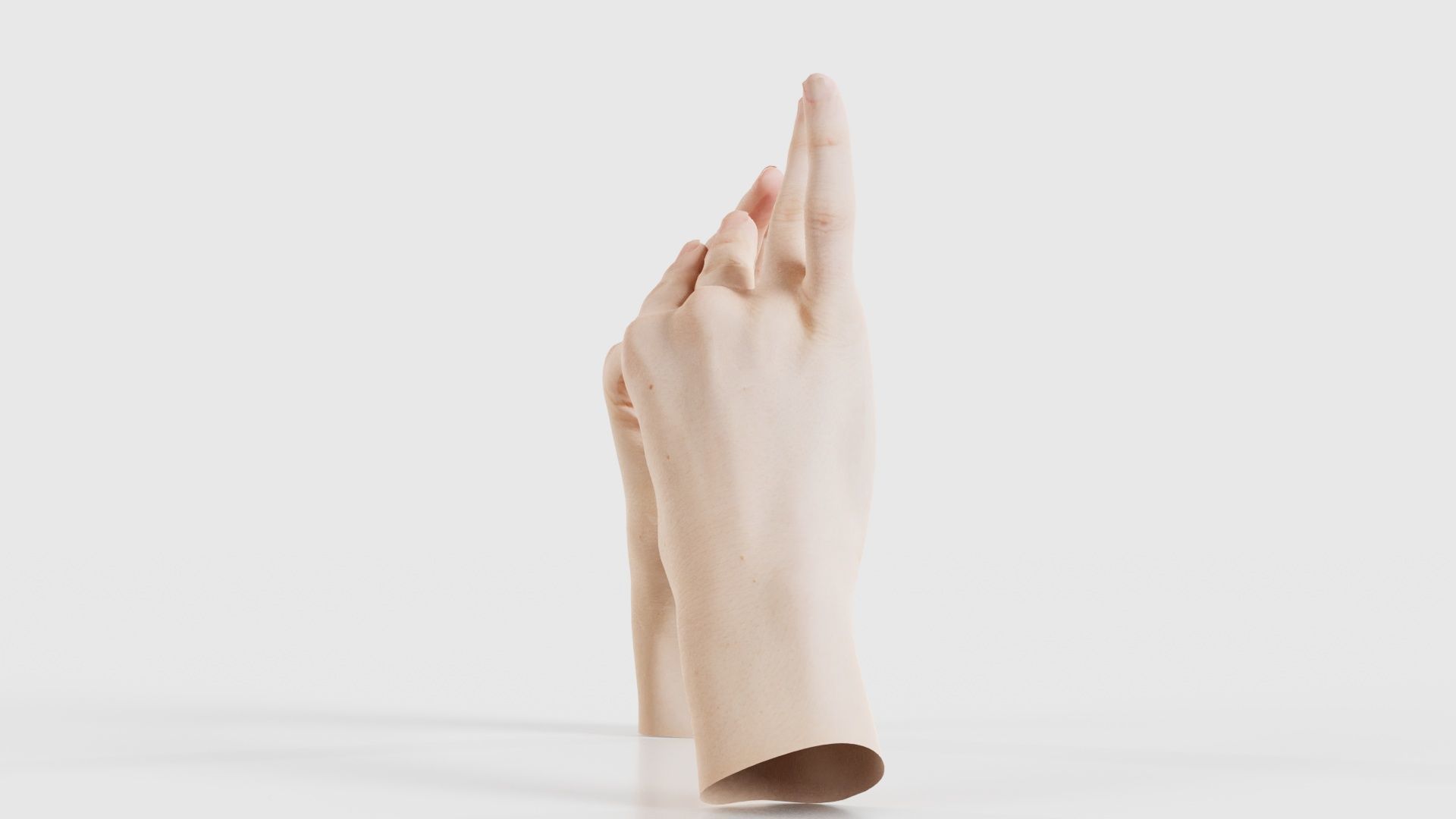 Duo Hands 012 Low-poly 3D model_24