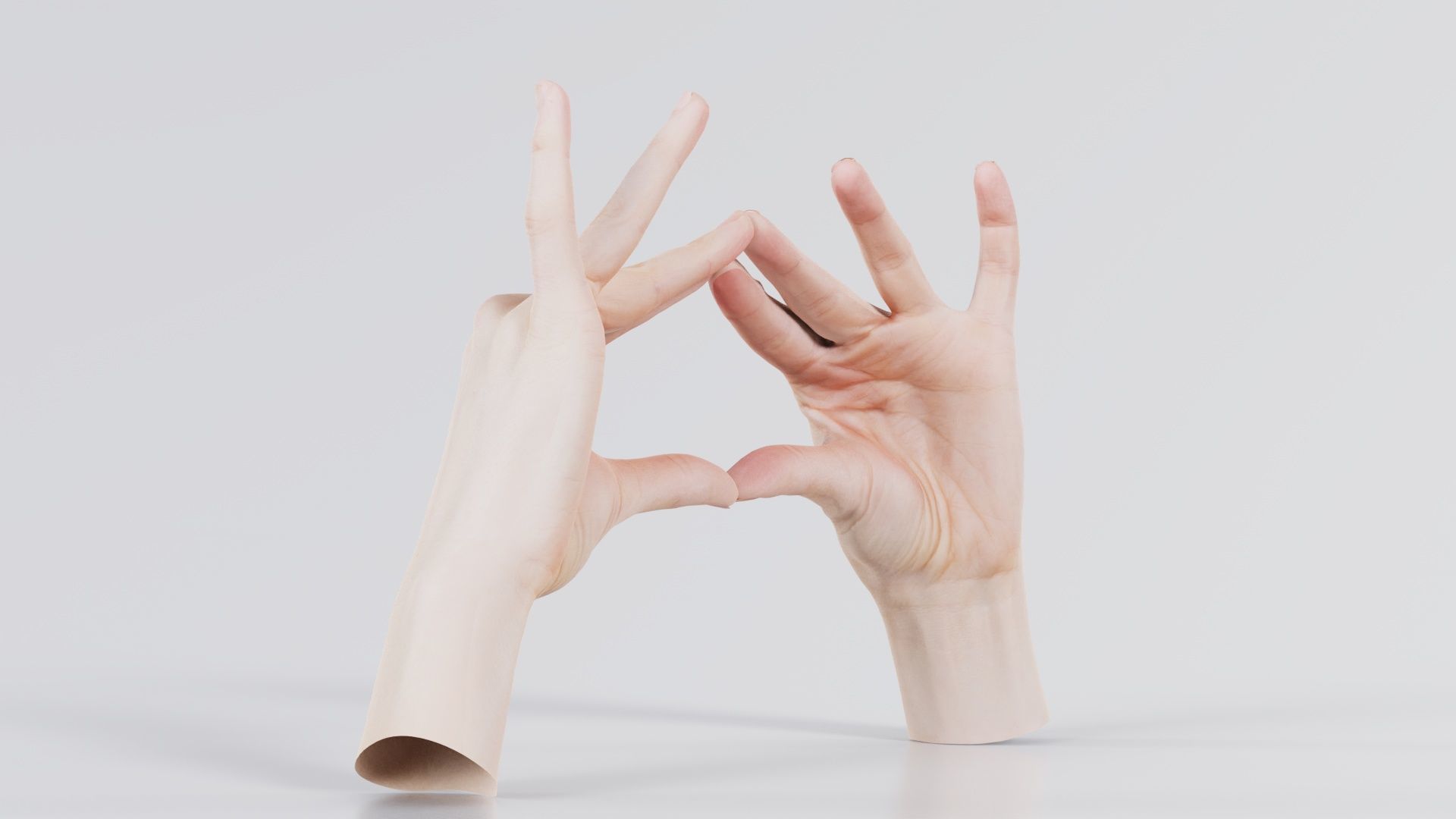 Duo Hands 012 Low-poly 3D model_1