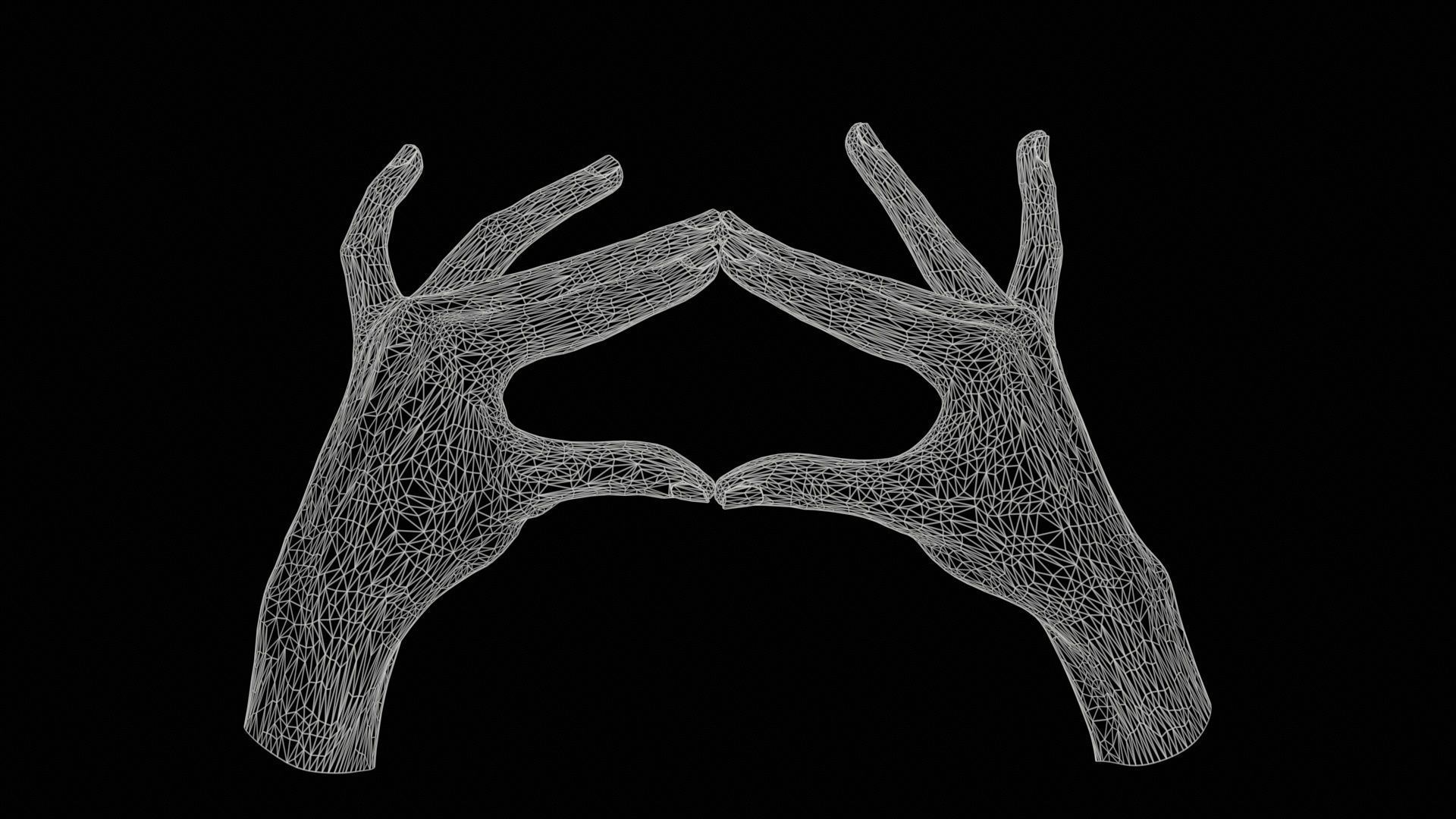 Duo Hands 012 Low-poly 3D model_11