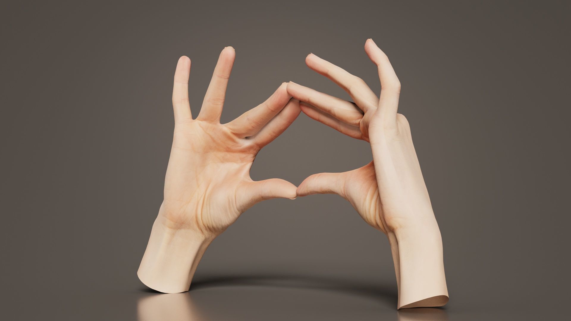 Duo Hands 012 Low-poly 3D model_2