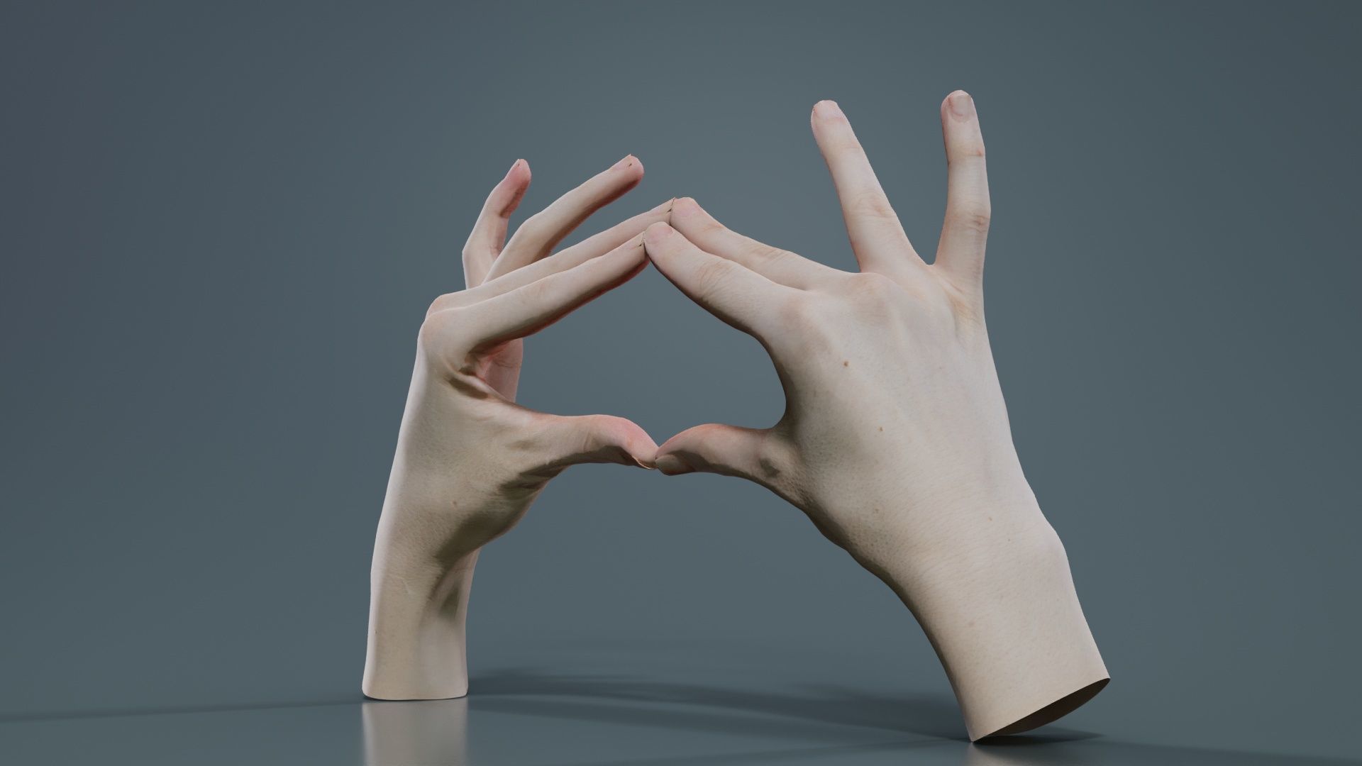 Duo Hands 012 Low-poly 3D model_6