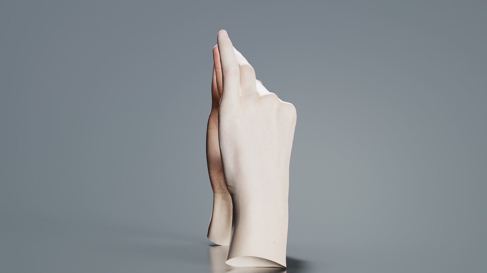 Duo Hands 012 Low-poly 3D model_5