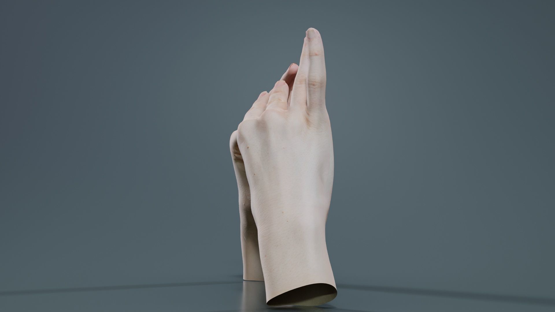 Duo Hands 012 Low-poly 3D model_8