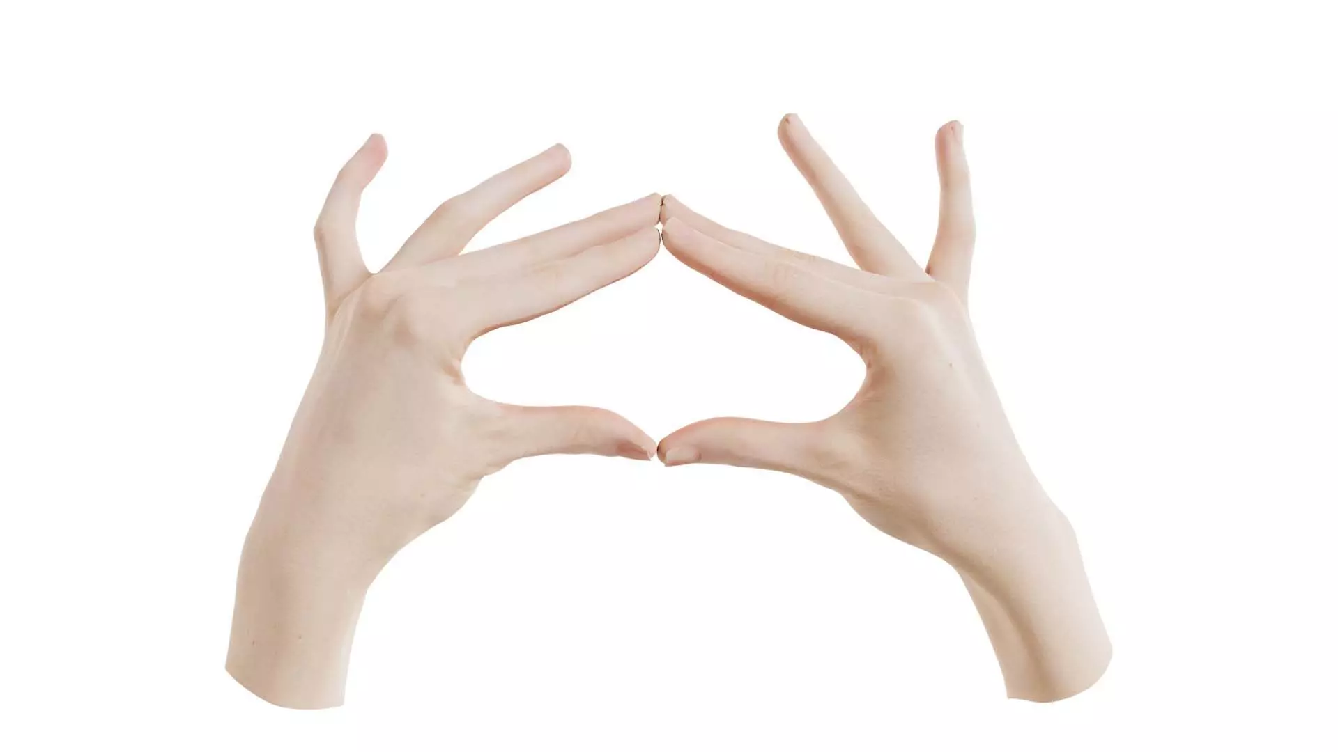 Duo Hands 012 Low-poly 3D model_0