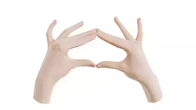 Duo Hands 012 Low-poly 3D model