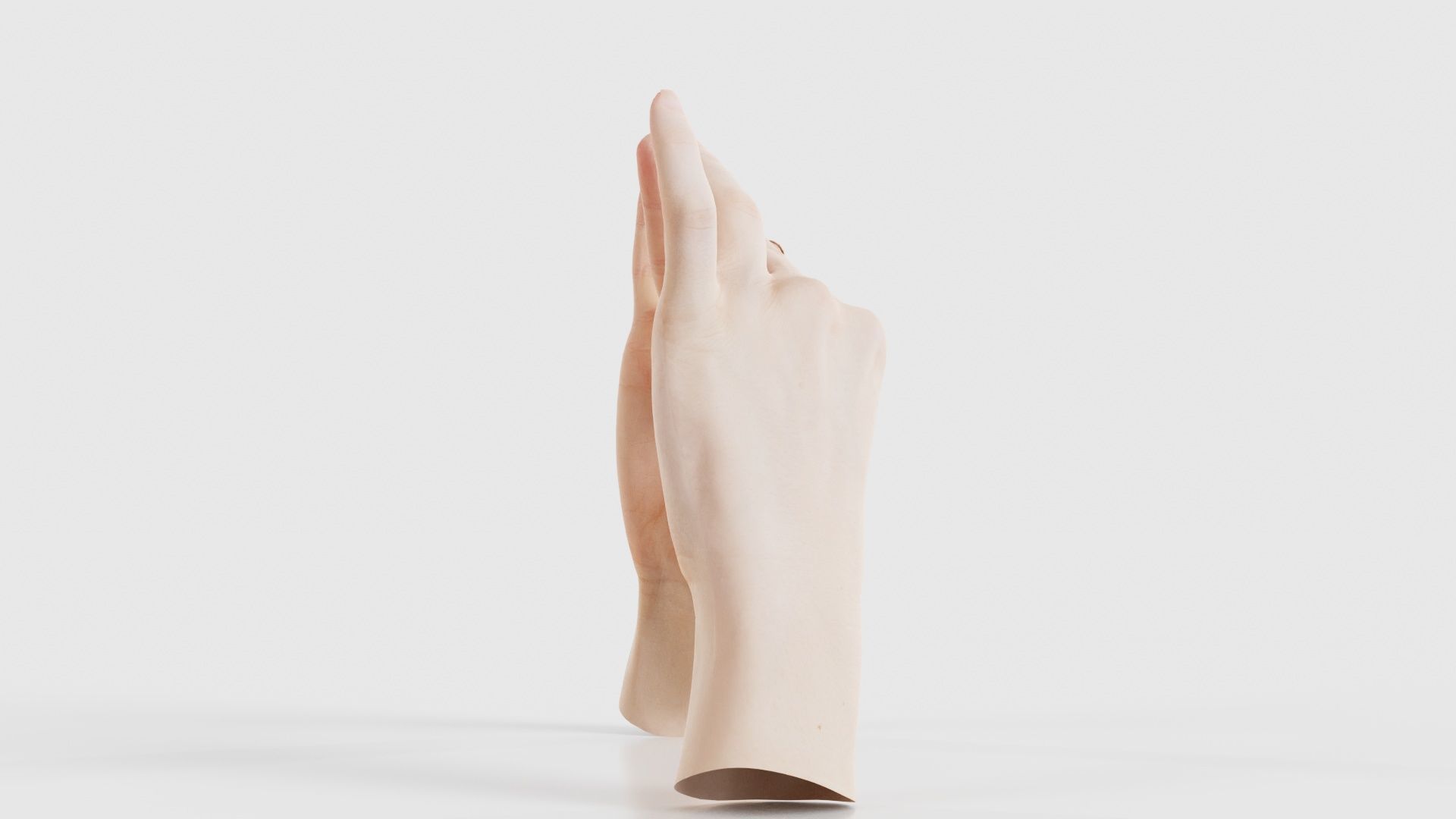 Duo Hands 012 Low-poly 3D model_18