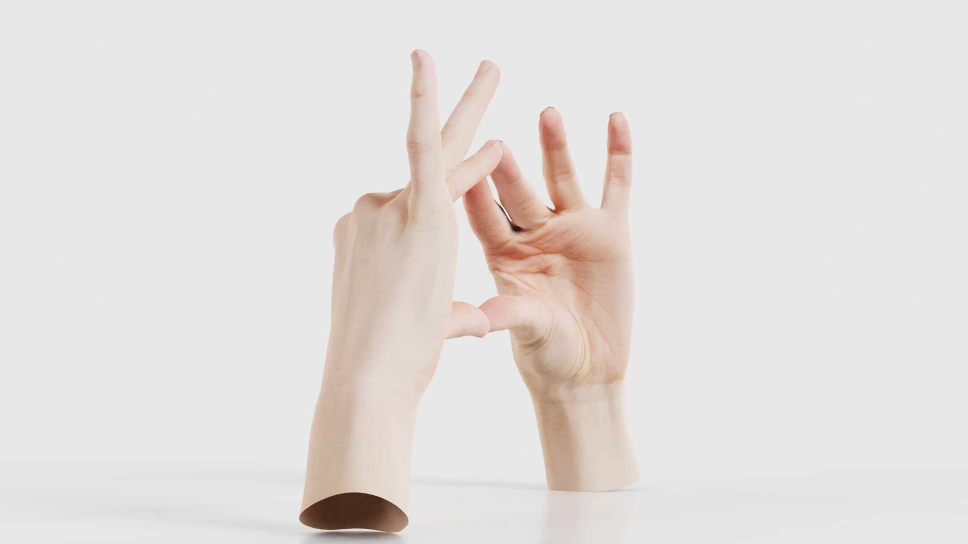 Duo Hands 012 Low-poly 3D model_23