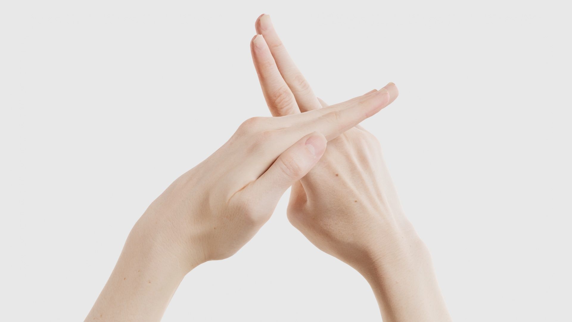 Duo Hands 014 Low-poly 3D model_18