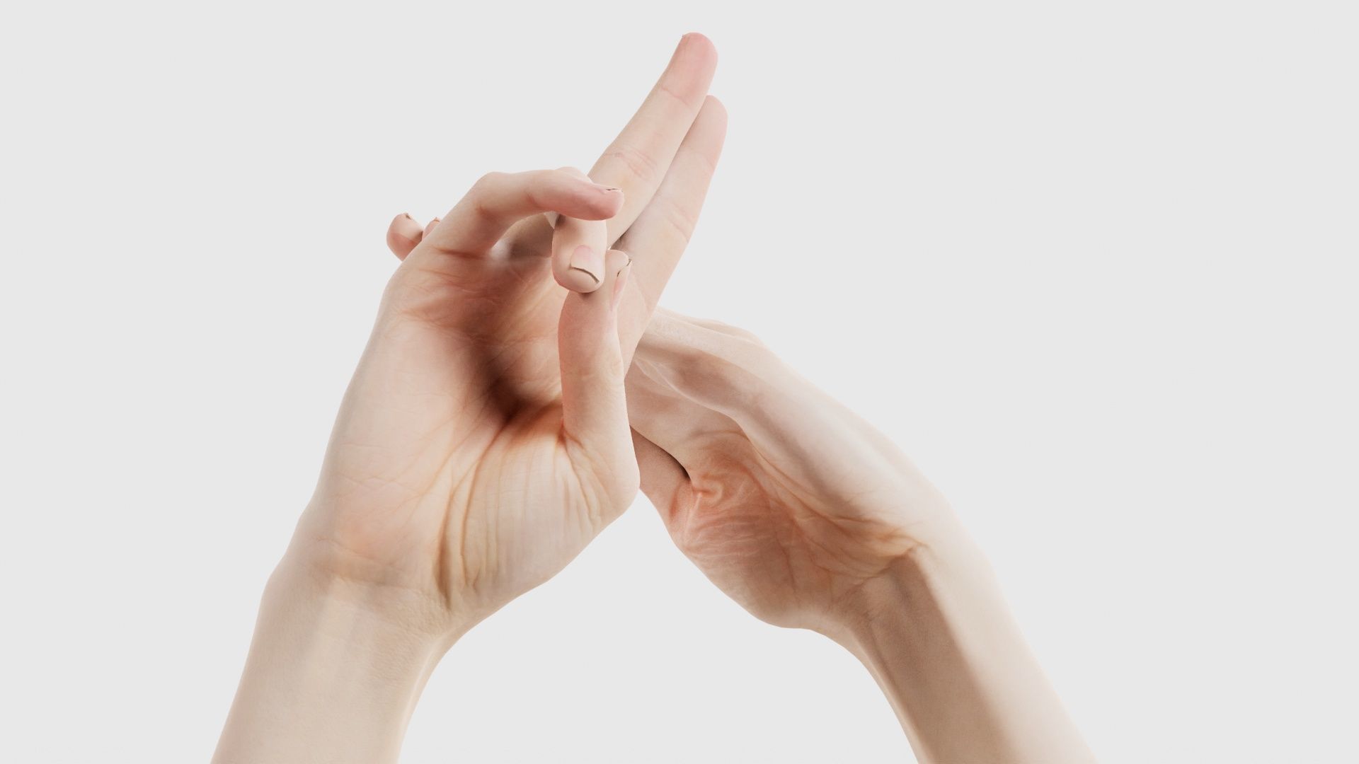 Duo Hands 014 Low-poly 3D model_24