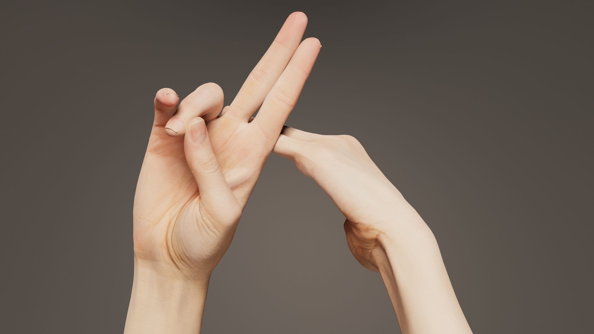 Duo Hands 014 Low-poly 3D model_5