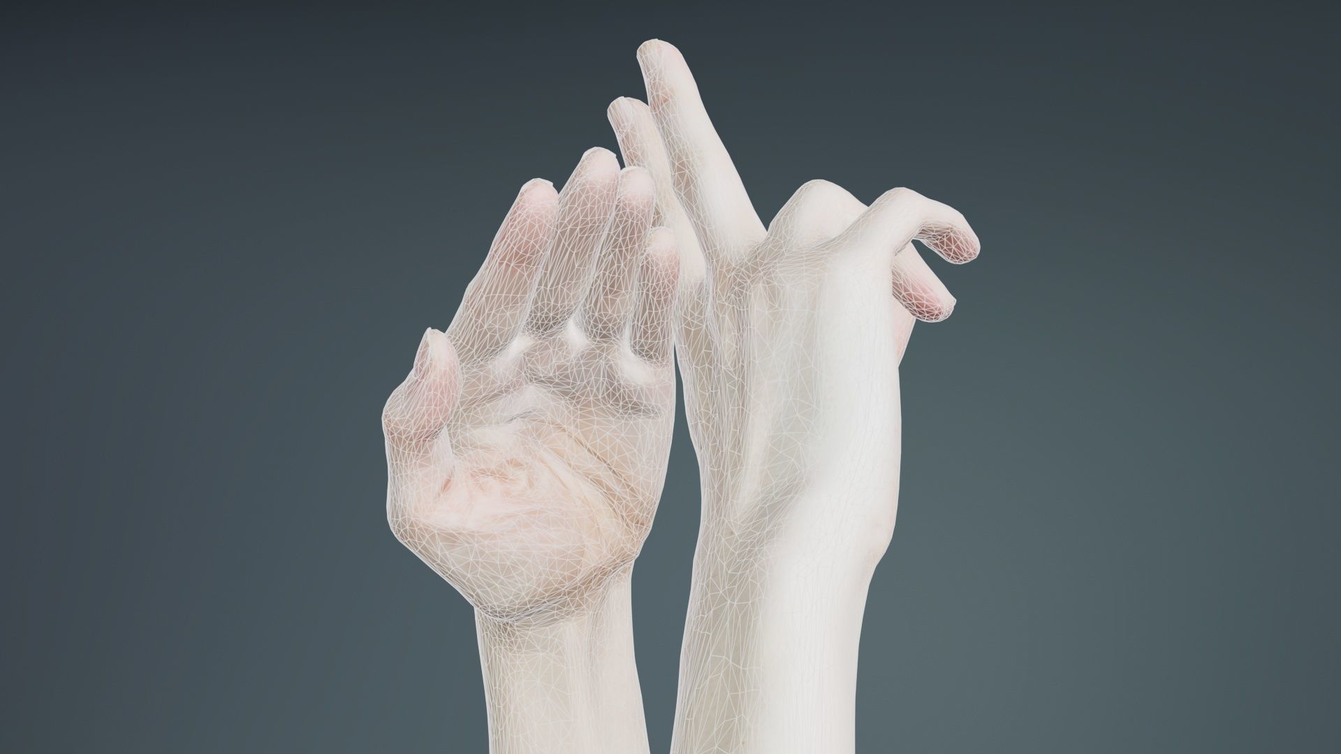 Duo Hands 014 Low-poly 3D model_9