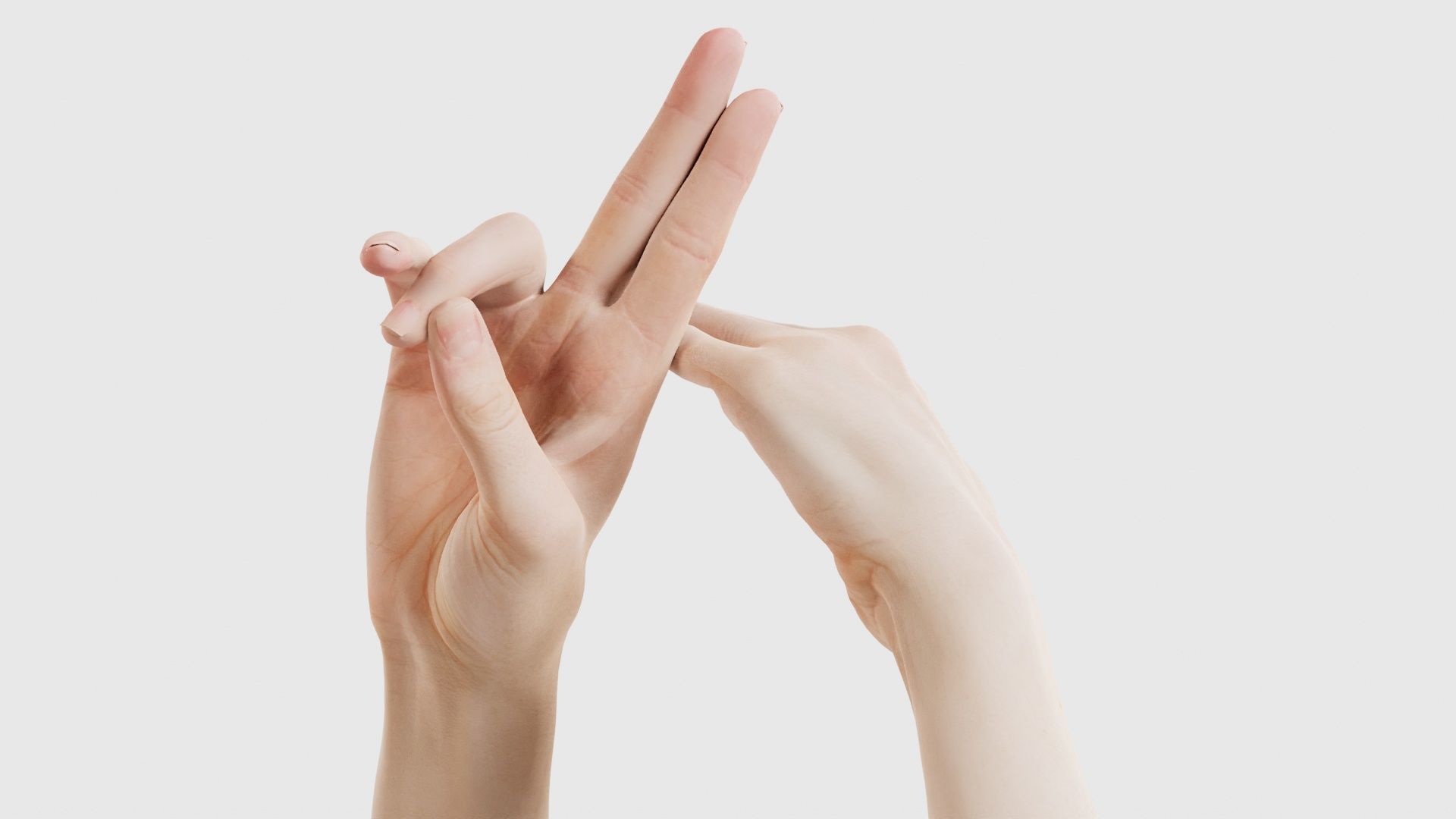 Duo Hands 014 Low-poly 3D model_22