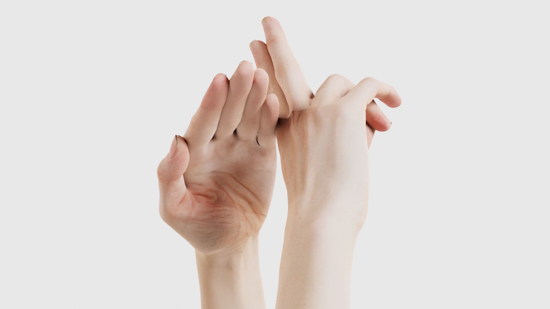 Duo Hands 014 Low-poly 3D model_15