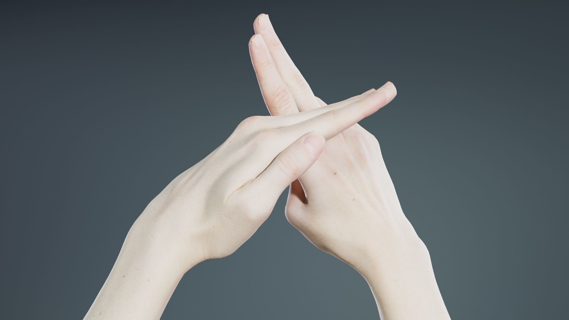 Duo Hands 014 Low-poly 3D model_3