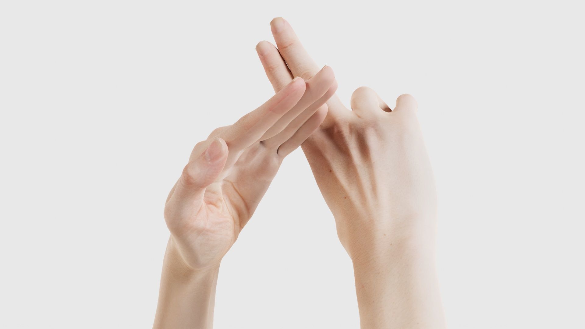 Duo Hands 014 Low-poly 3D model_16