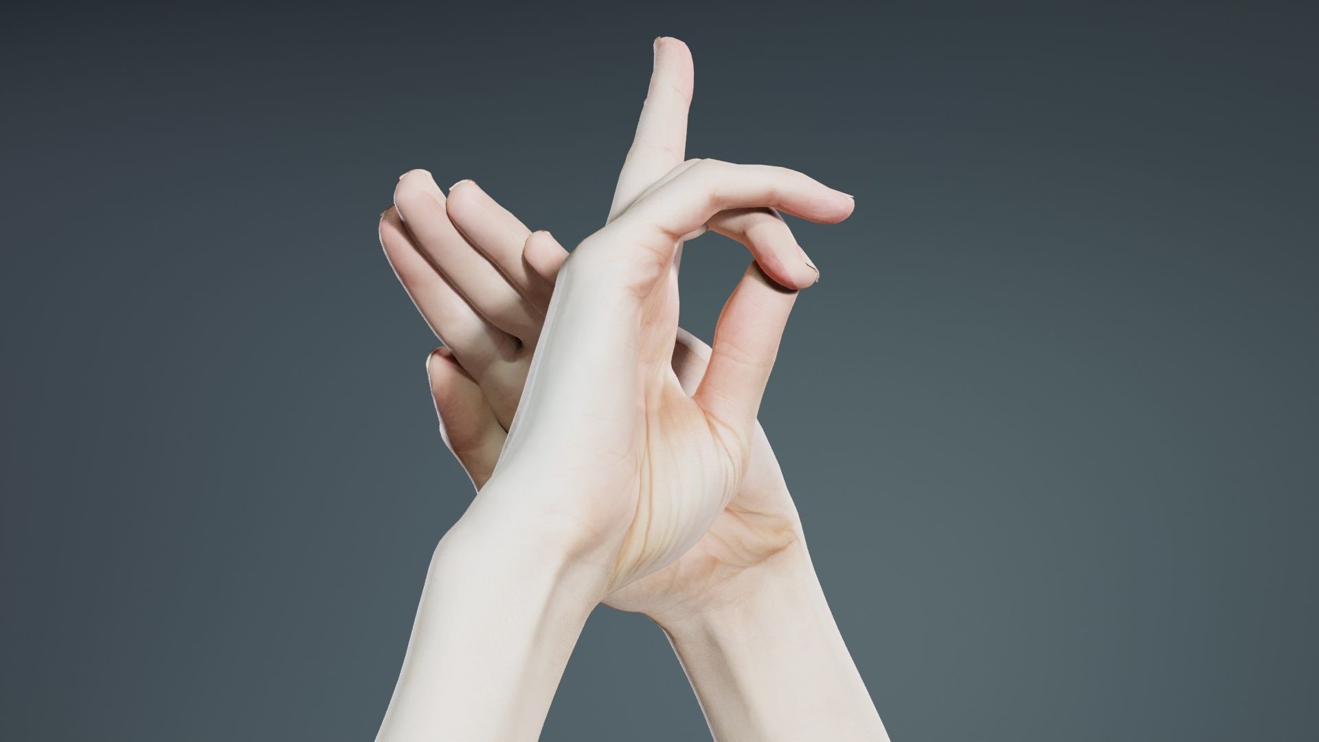 Duo Hands 014 Low-poly 3D model_1