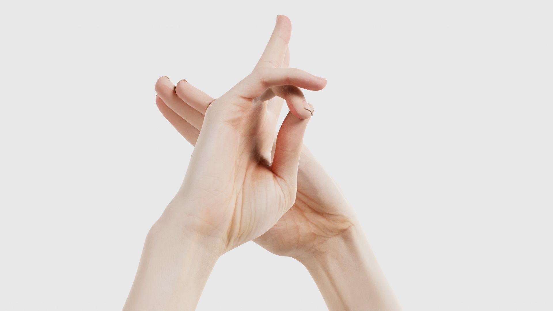 Duo Hands 014 Low-poly 3D model_25