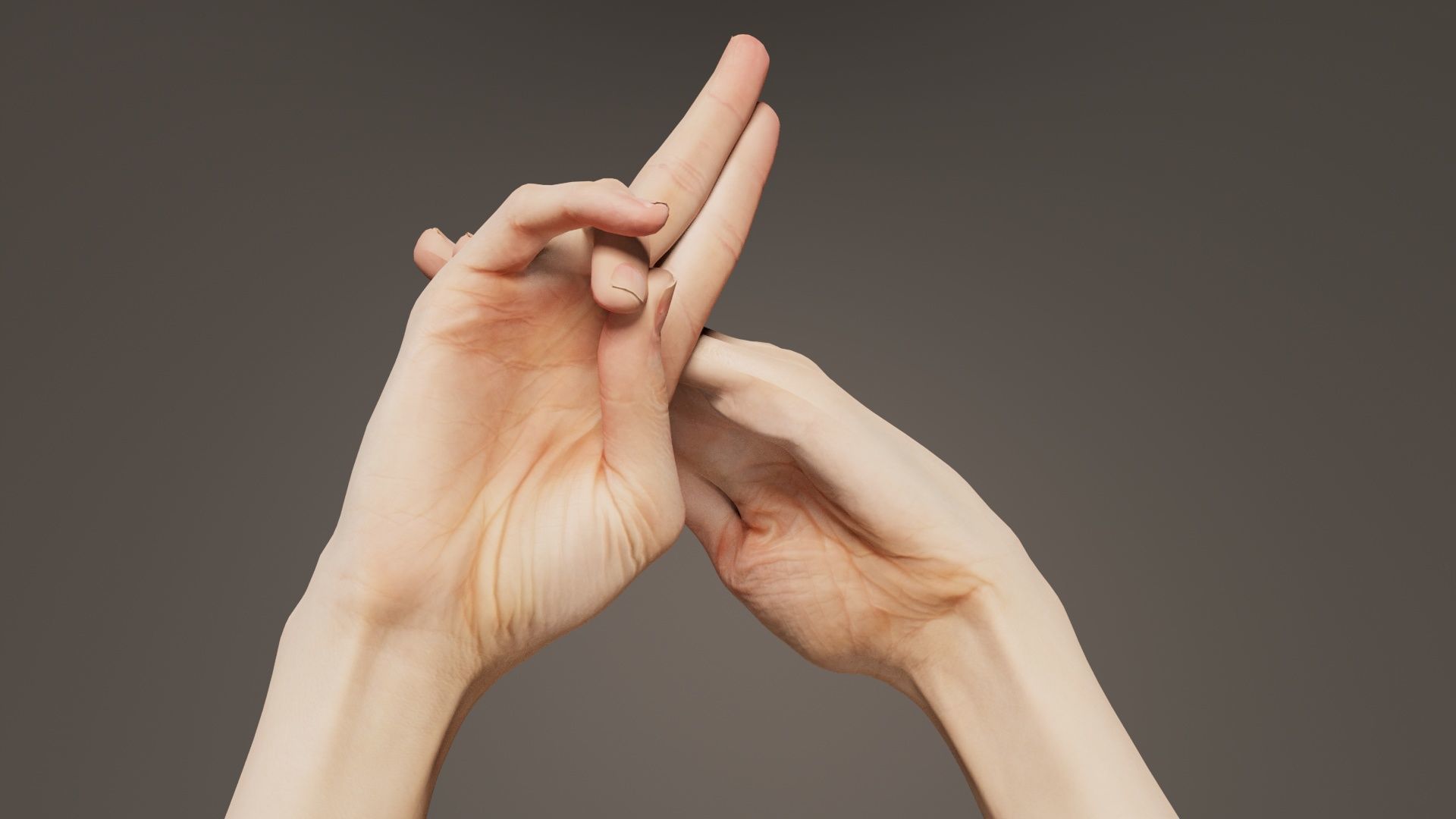 Duo Hands 014 Low-poly 3D model_6