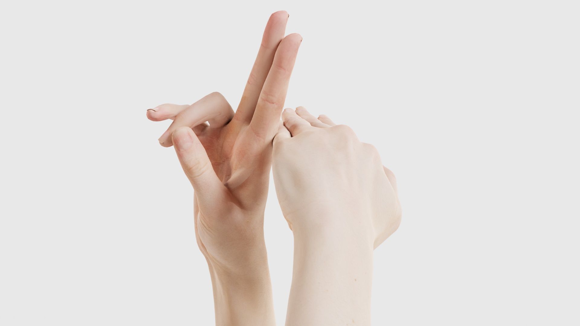 Duo Hands 014 Low-poly 3D model_21