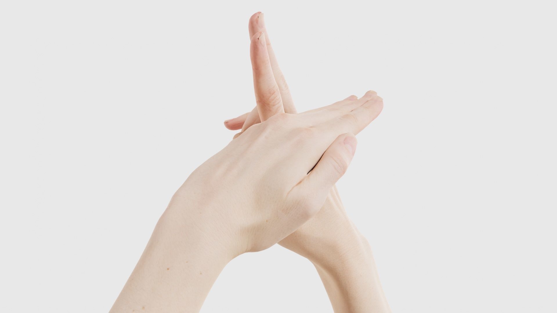 Duo Hands 014 Low-poly 3D model_19