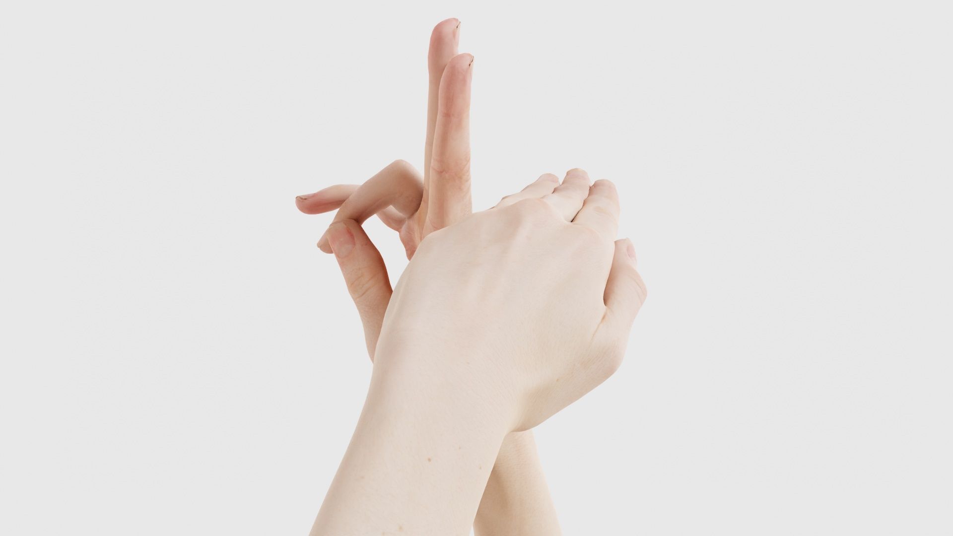 Duo Hands 014 Low-poly 3D model_20