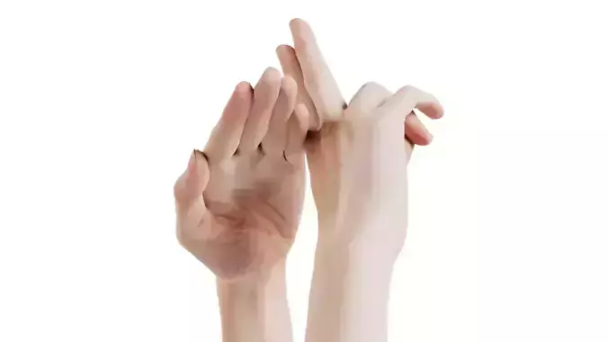 Duo Hands 014 Low-poly 3D model