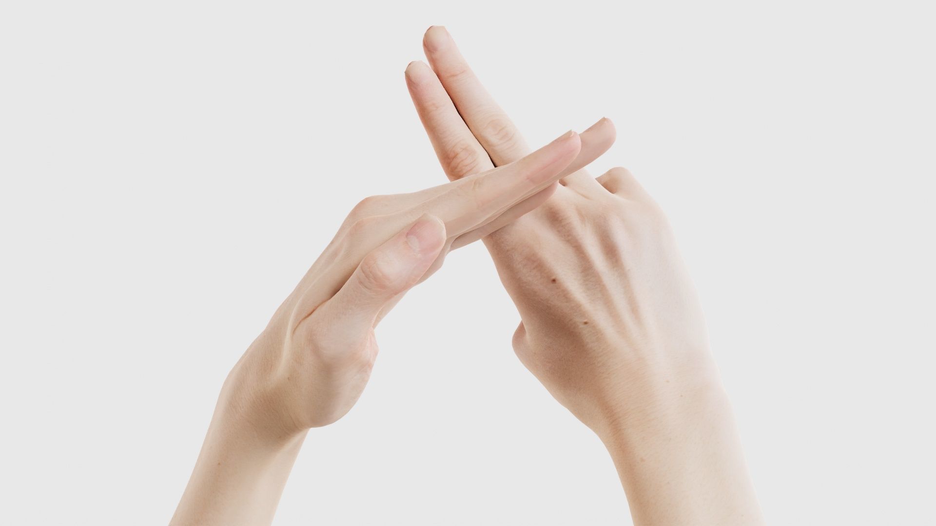 Duo Hands 014 Low-poly 3D model_17