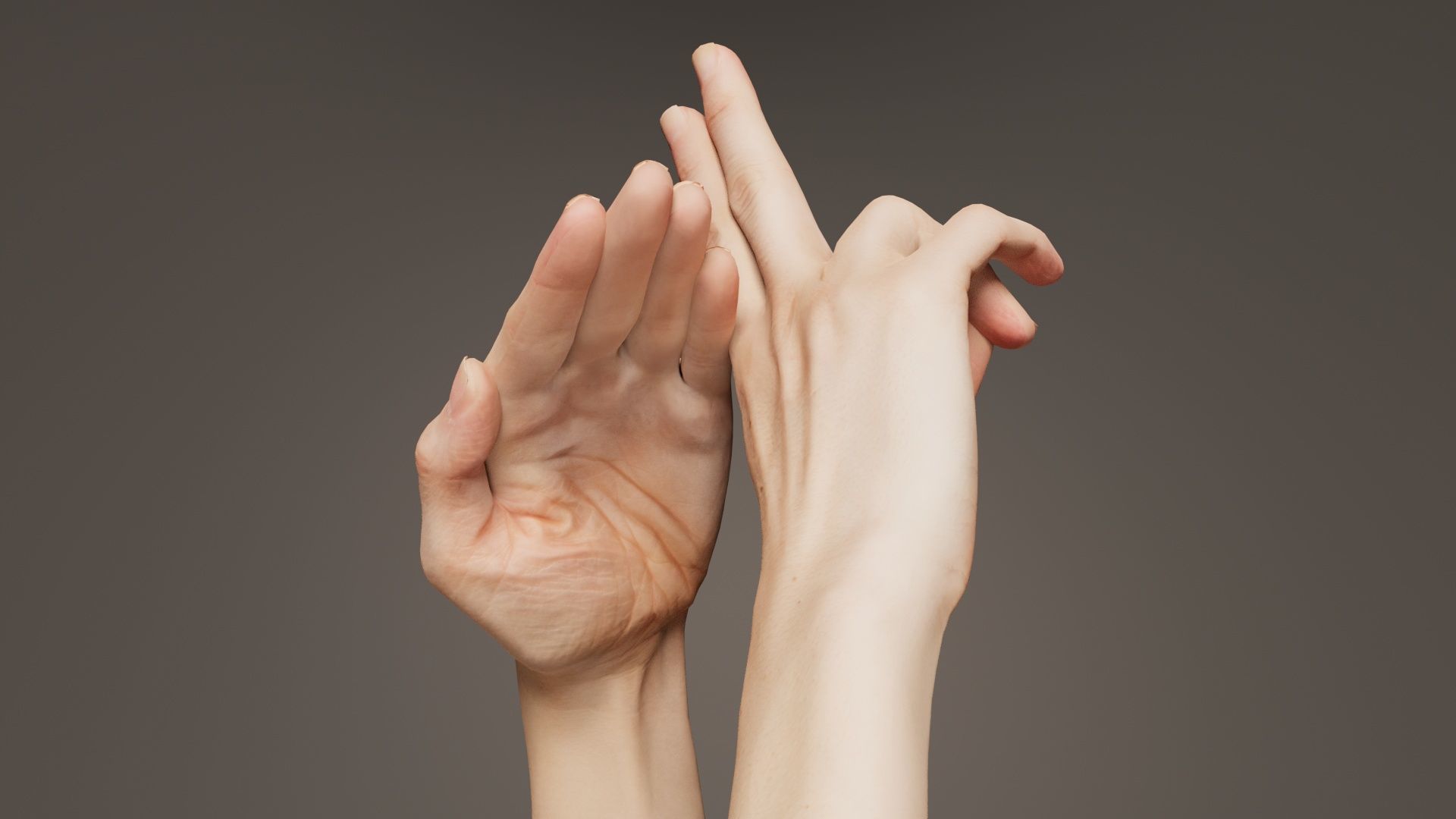 Duo Hands 014 Low-poly 3D model_4