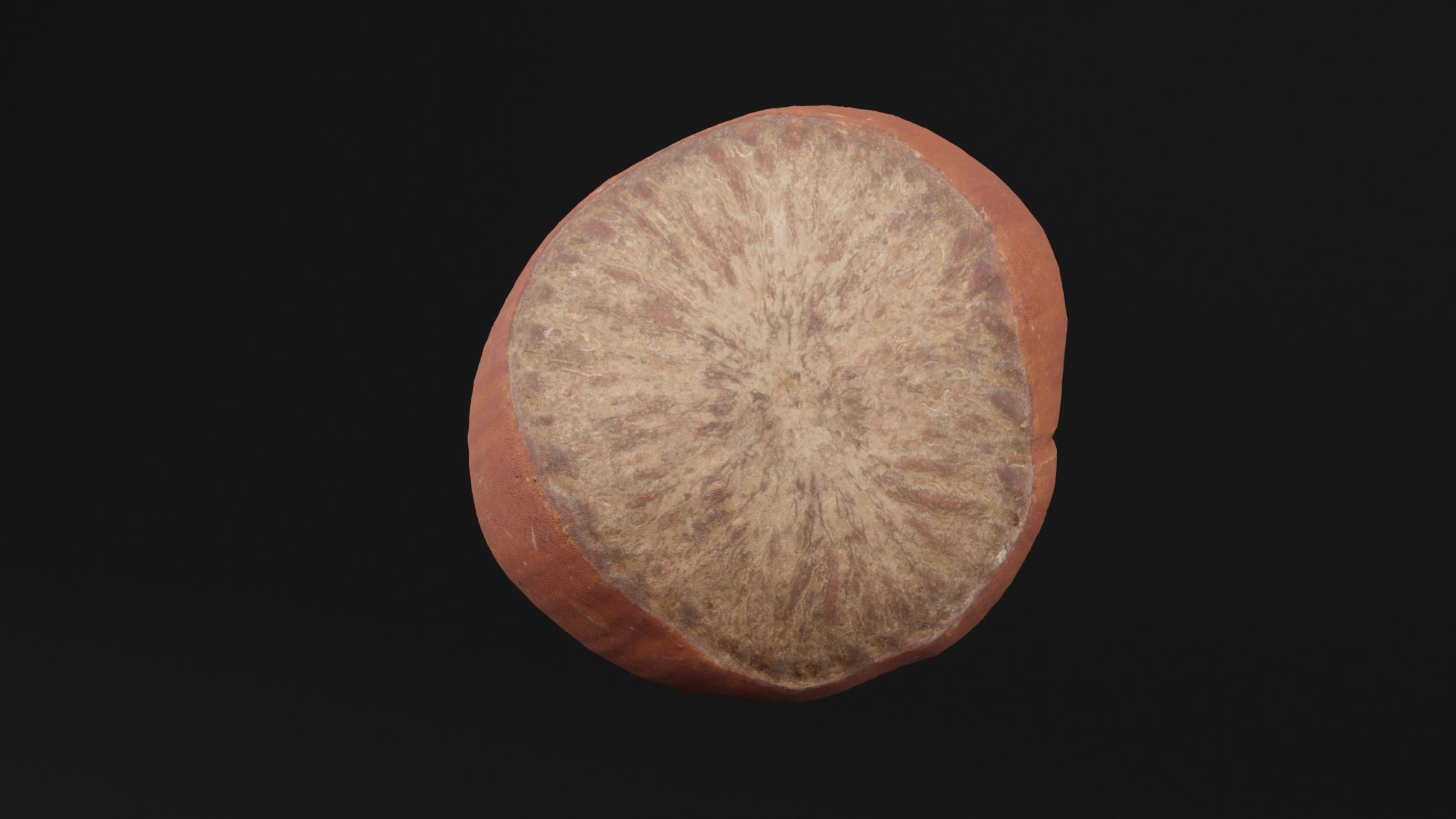 Hazelnut 3D model_4