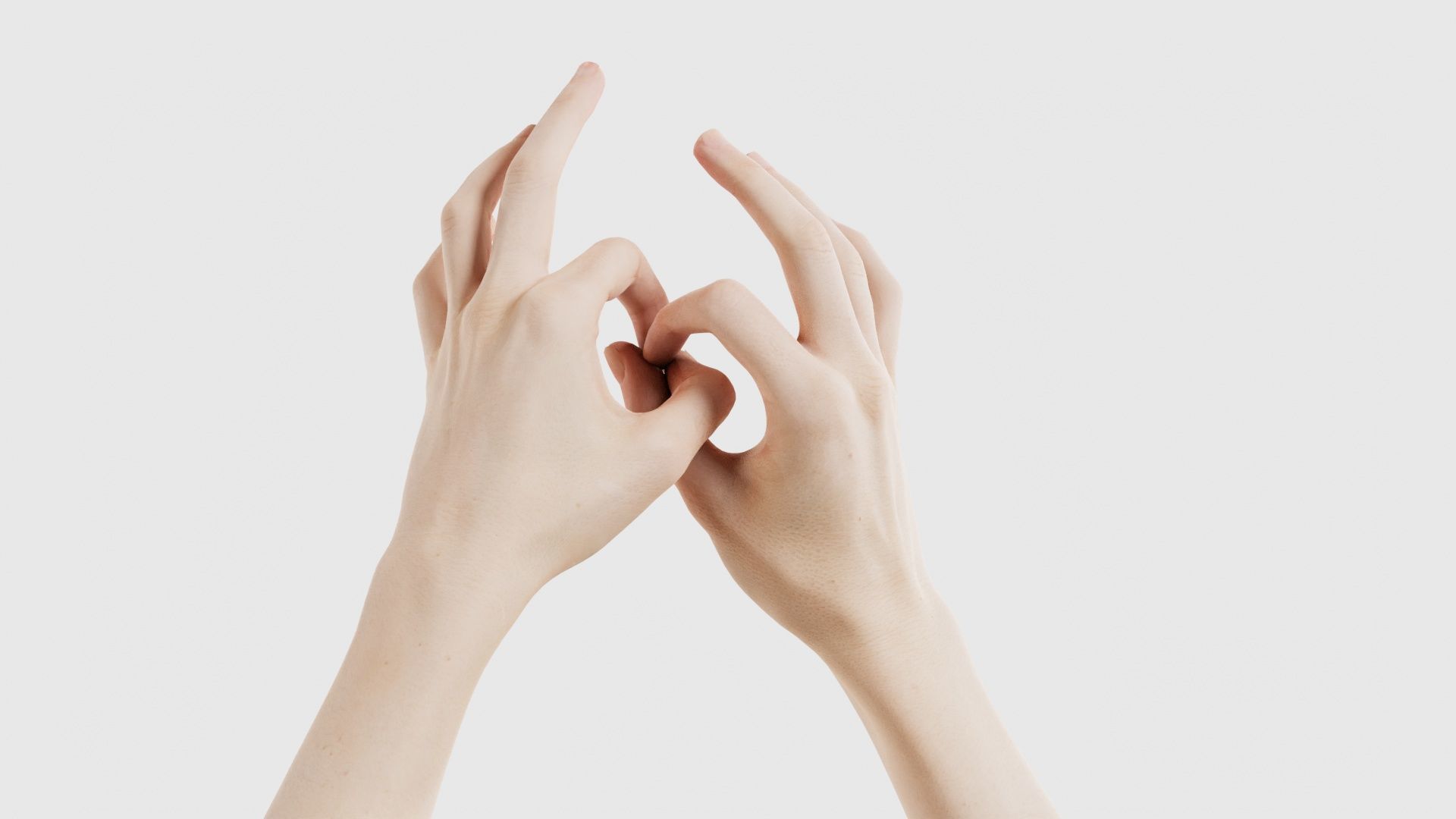 Duo Hands 015 Low-poly 3D model_21