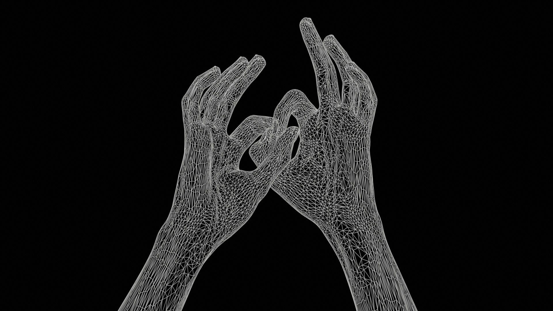 Duo Hands 015 Low-poly 3D model_11