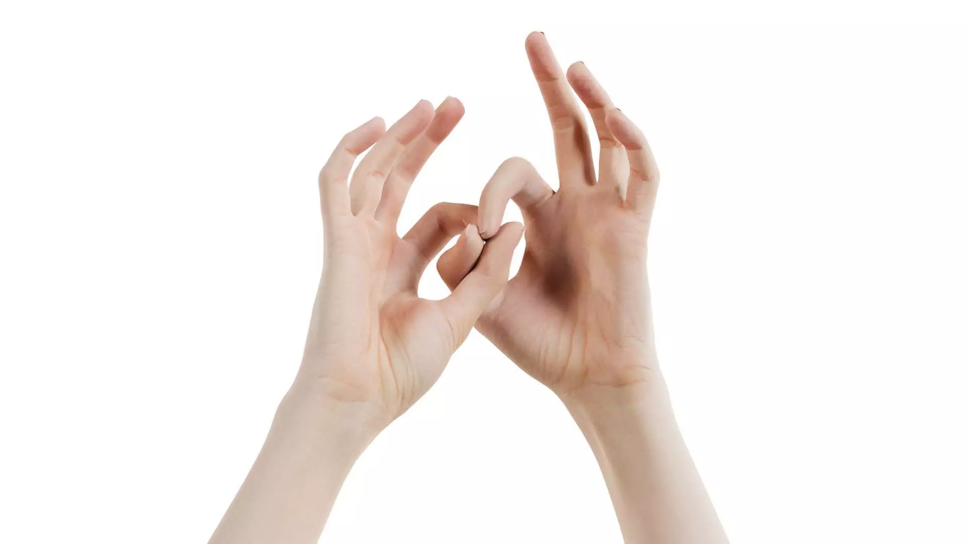 Duo Hands 015 Low-poly 3D model_0