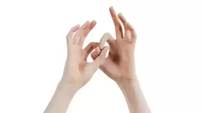 Duo Hands 015 Low-poly 3D model